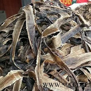 地龙 广地龙 全开个 产地 广西壮族自治区图2