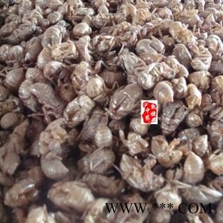 蝉蜕 蝉蜕统货 产地 河南省图2