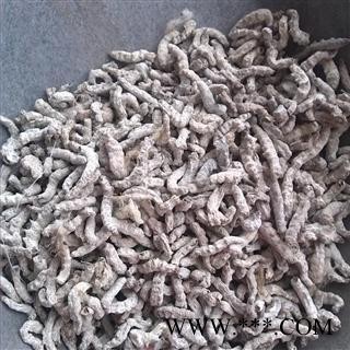 【录建药业】僵蚕 白僵蚕统 产地 四川省图3