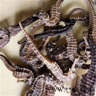 海马 大海马（6g/个） 产地 广东省图2