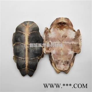 龟板 旱龟板 中华草龟 产地 湖北省 新货 干度好图2