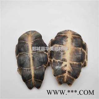 龟板 旱龟板 中华草龟 产地 湖北省 新货 干度好图4
