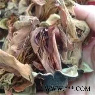 诺源药材行中药材正品无硫木棉花  攀枝花图3