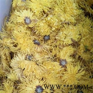 诺源药材行优质花茶菊花  金丝皇菊图3