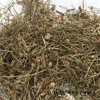 诺源中药材中药材谷精草图2