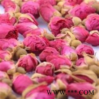 玫瑰花 山东玫瑰   产地 山东省图2