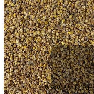 野菊花 野菊花统货 颜色好  产地 山西省图2