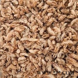 蝉蜕 统货 产地 山东省图2