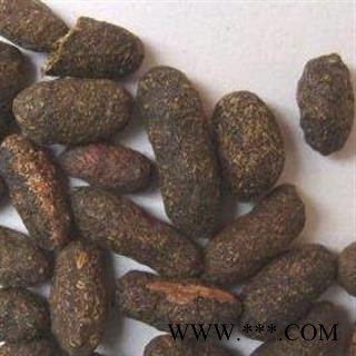 【录建药业】五灵脂 选装五灵脂 产地 云南省图4