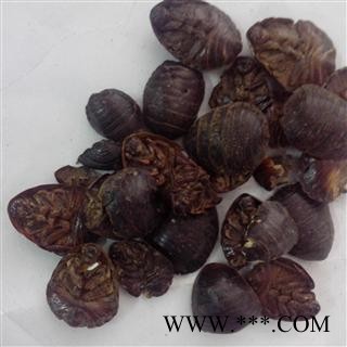 【录建药业】土鳖虫 清水土元 产地 广西壮族自治区图3