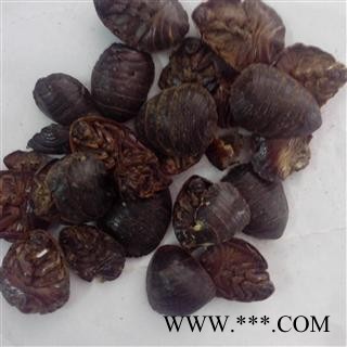 【录建药业】土鳖虫 清水土元 产地 广西壮族自治区图2