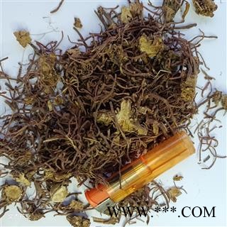 紫苑 紫苑根 新货上市 现货批发 实物拍摄 物美价低图2