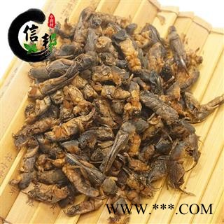 土狗蝼蛄正品土狗子清水无加重体型完整无杂蝲蝲蛄土狗子拉拉蛄干专注品质，诚信信邦！图4