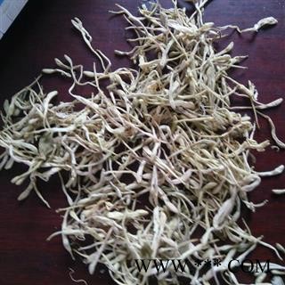 金银花 白花 统图3