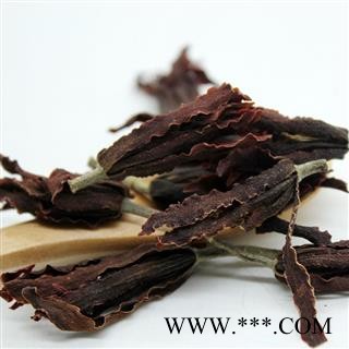 吉康药业批发  白玉兰 白玉花 玉兰花  红玉兰 木兰 玉兰花 望春 应春花 玉堂春图2