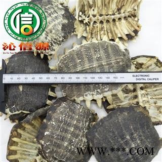 【满包邮】鳖甲整块无肉个子统货产地直供沁信源中药批发图3