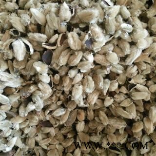 辛夷花 辛夷大桃统货 产地 河南省图2