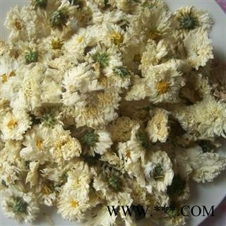 小丽百草行太阳菊 太阳花 朵白无杂 产地直销图2