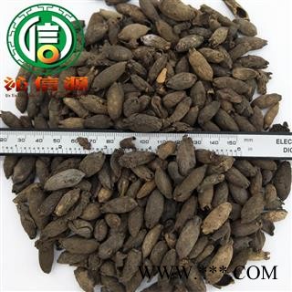 【满包邮】母丁香统货散装广西产地直供鸡舌香 亭炅独生 雌丁香沁信源中药材批发图2