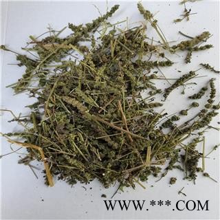 荆芥穗 毛穗 产地 河北省保定市图2