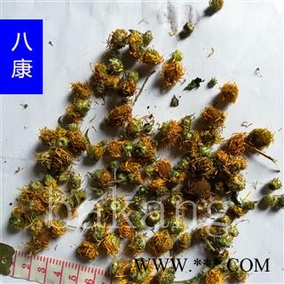 旋复花 01统图2