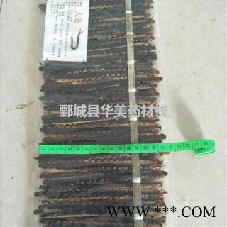 蜈蚣 蜈蚣大条精选货14-15cm 产地 湖北省 华美中药图4