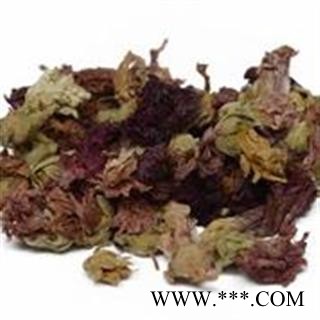 小丽百草行红蜀季花 蜀葵花蜀葵花 蜀季花 擀杖花 秫秸花 公鸡花 一丈红图2