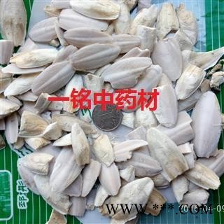 海螵蛸 统货 产地 广西壮族自治区图2