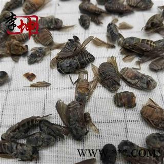 【包邮】虻虫（250g） 正品四川产 大个货不是陕西产的牛虻虫【良心经营 品种齐全】图3