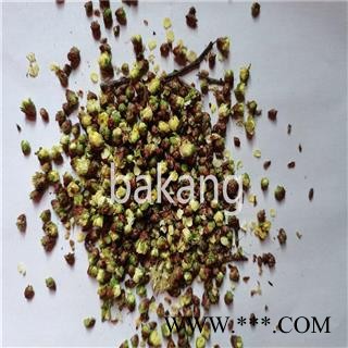 白梅花 选 绿鄂梅  产地 福建省三明市图2