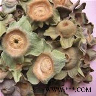 小丽百草行柿蒂 柿楴 柿子柄 新货图2