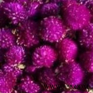 小丽百草行花茶 千日红图2