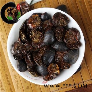 土元土鳖虫国产过8号筛欢迎选购合作共赢产地直销一手货源专注品质，诚信信邦！图3