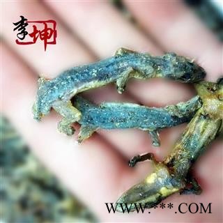 【99包邮】壁虎 进口天龙 守宫 统货（500g）天龙 【良心经营 】图1