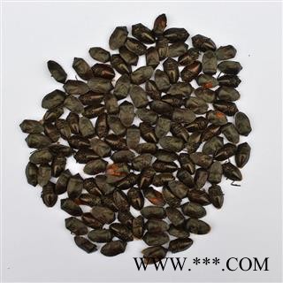 【满298元包邮】九香虫清水晒干货      250克1袋图2