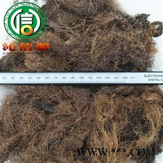 【满包邮】玉米须子选货散装山东产地直供沁信源中药批发图2