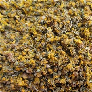纯野生无硫野菊花、野黄菊花、山菊花、烘干货图4