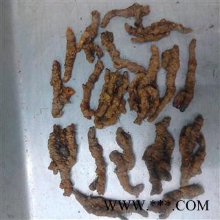 黄连 统单支 全干 2022 产地 四川省成都市彭州市图2