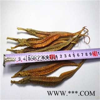 海龙 三角龙  统货 产地 海南省海口市市辖区图2