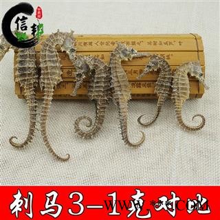 海马带刺海马1克纯清水足干货不加料专营贵细类冷被偏门专注品质，诚信信邦！图4