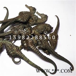 海马 海马中条 产地 浙江图2