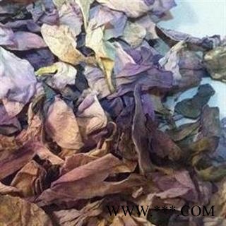 小丽百草行荷花 莲花 荷花瓣 莲花瓣 干荷花水芙蓉 藕花 芙蕖 水芝 水华 泽芝 中国莲图2