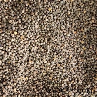 野菊花 野菊花统货 产地 湖北省图2