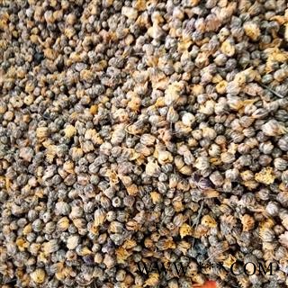 野菊花  颗粒 选货 产地 河南省图2