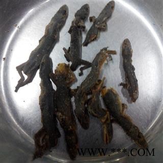 【满298元包邮】壁虎 天龙 选货 产地云南  1公斤一袋图3