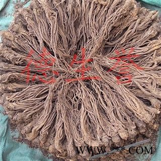 当归全个系列 正宗无硫 产地直供 优质保证 全国包邮 活动：下单即送甘肃特产天然无公害礼品！图2