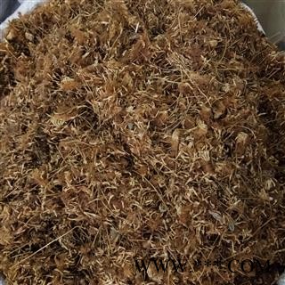 合欢花 夜合欢 绒花树 鸟绒树 苦情花 净货 产地 浙江省图2