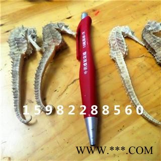 【满298元包邮】海马 海马中条 产地 海南省海口市市辖区图2