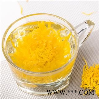 黄菊花 金丝黄菊 包 产地 安徽省图2