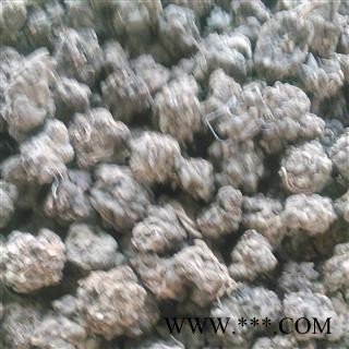 猫爪草 野生猫爪草产地直销大货批发价 产地 安徽省图2